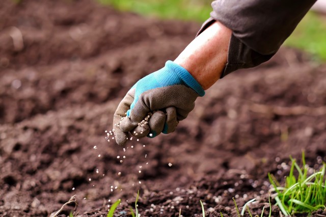 Top 5 Essential Tips for Choosing the Right Soil for Your Plants